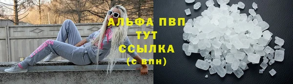мдпв Козельск