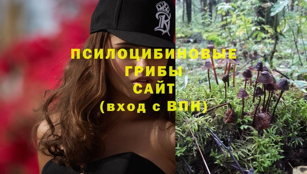 мдпв Козельск