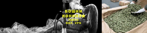 мдпв Козельск