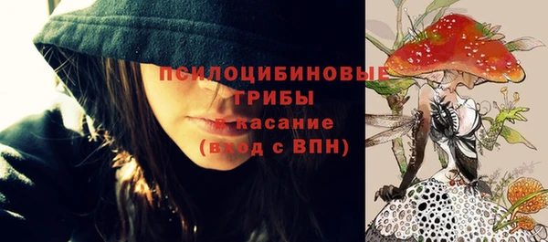 мдпв Козельск