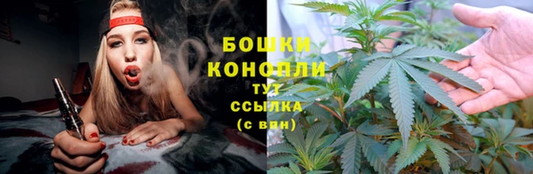 мдпв Козельск