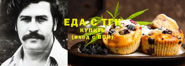 мдпв Козельск