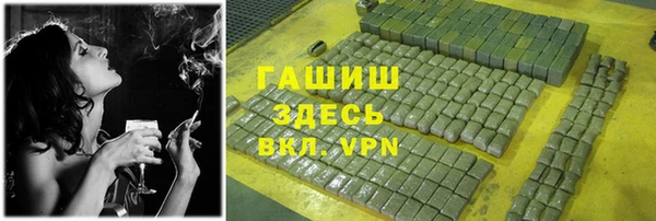 мдпв Козельск