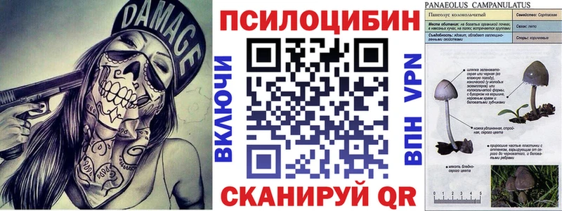 Купить  Кимры  Галлюциногенные грибы MAGIC MUSHROOMS 